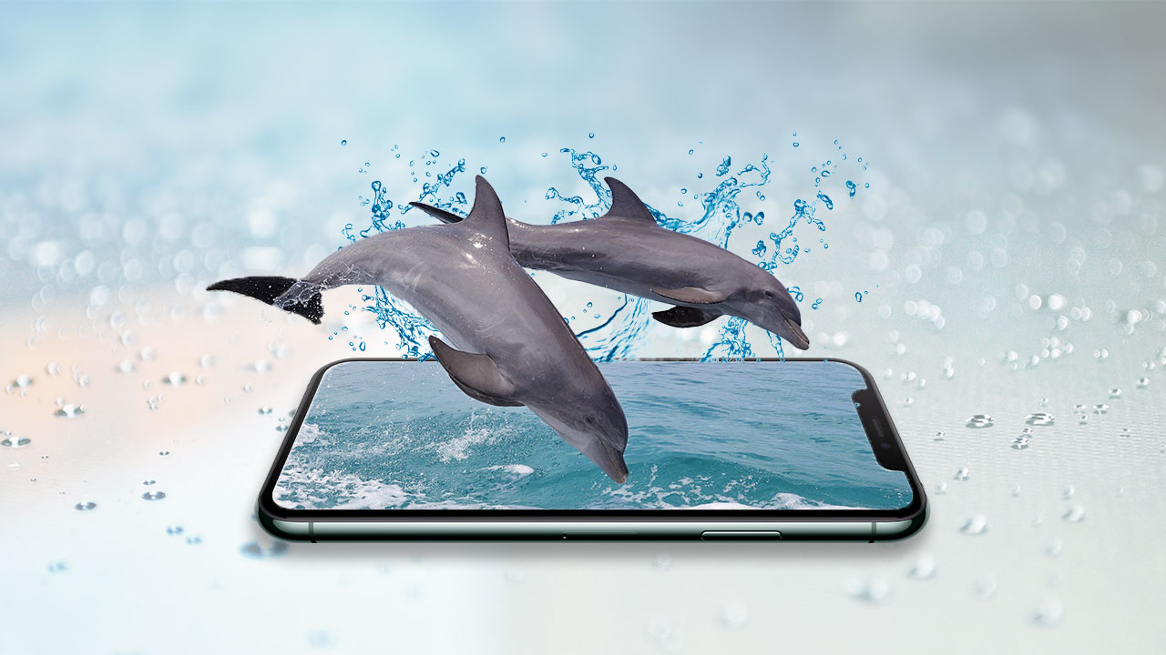 Dolphin masking effect