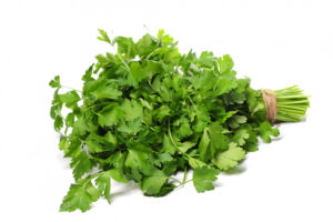 Coriander vs. Cilantro